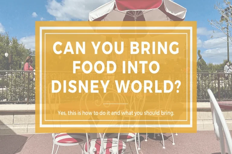 Can You Bring Food Into Disney World