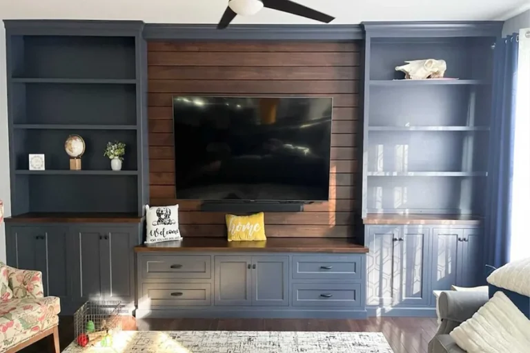 Built In Entertainment Center Ideas