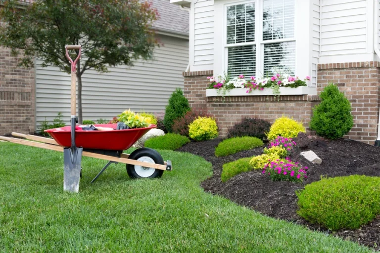 Mywirelesscoupons Garden Tips
